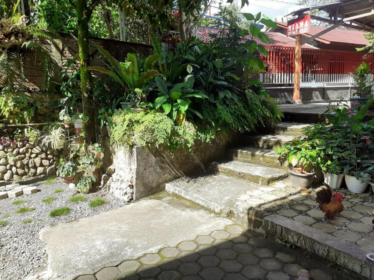 Riana'S Homestay Rantepao Esterno foto
